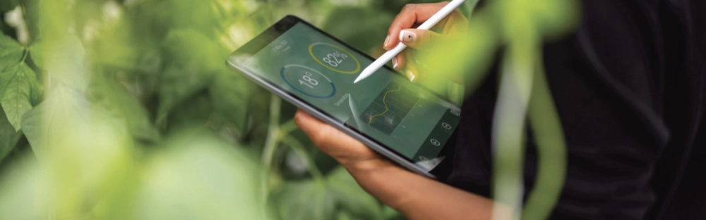 3b01adef9b10-green-checklisting.jpg.webp 3b01adef9b10-green-checklisting.jpg.webp