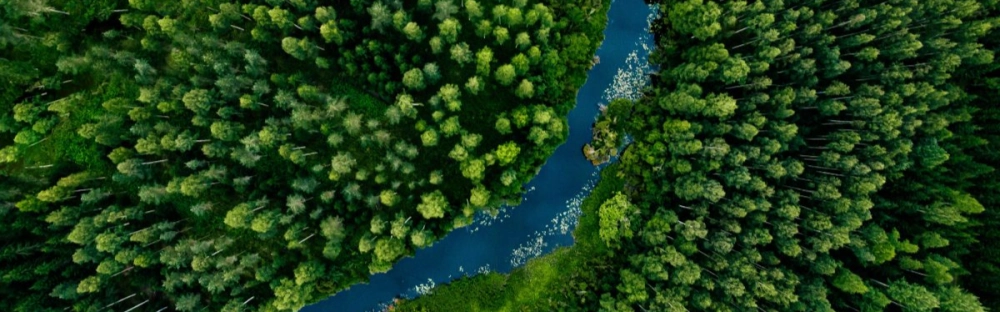 24c899412c95-GettyImages-1280157380-1200x899.jpg.webp 24c899412c95-GettyImages-1280157380-1200x899.jpg.webp