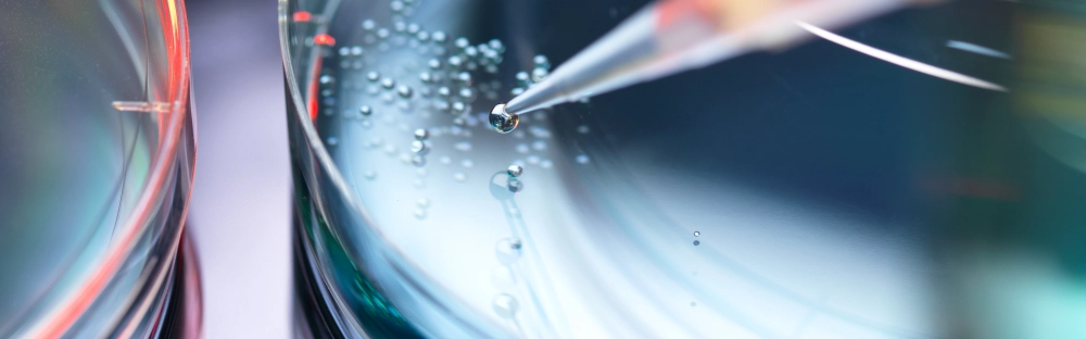 560c0083b0a8-LIFE-SCIENCES-GettyImages-1187603810.jpg.webp 560c0083b0a8-LIFE-SCIENCES-GettyImages-1187603810.jpg.webp