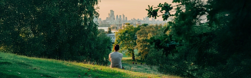 7eb5d07a22a1-Sustainability-report-2024_1600x500.jpg.webp 7eb5d07a22a1-Sustainability-report-2024_1600x500.jpg.webp