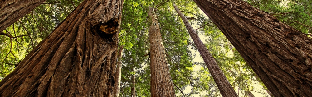 58a28f0c9653-202410_Header_Landingpage_1600-x-500_Standard_v4.jpg.webp 58a28f0c9653-202410_Header_Landingpage_1600-x-500_Standard_v4.jpg.webp