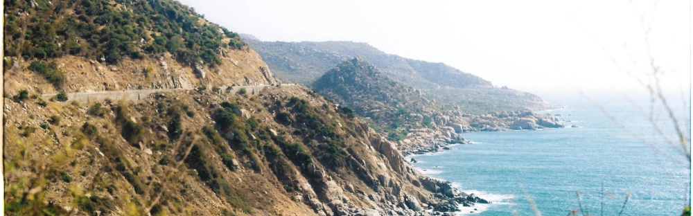 9493dd6dbc97-pexels-kittbui-2131870-27054225.jpg.webp 9493dd6dbc97-pexels-kittbui-2131870-27054225.jpg.webp