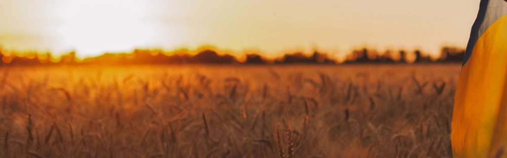 6da6814712e3-header_field.png.webp 6da6814712e3-header_field.png.webp