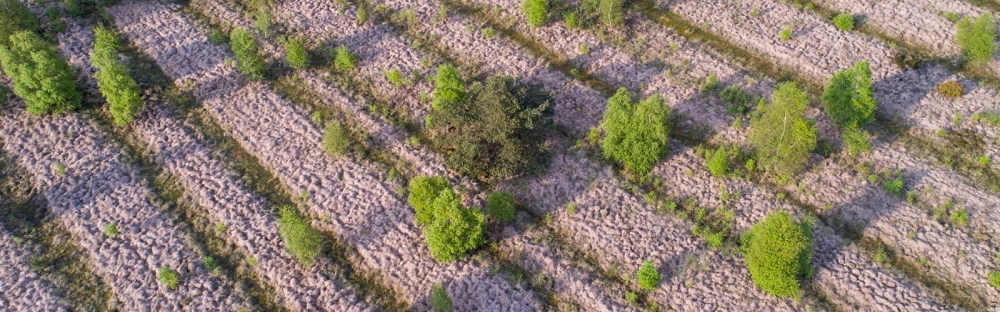 31917a83dd94-report_header.jpg.webp 31917a83dd94-report_header.jpg.webp