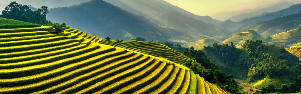 f9f29e7c3e46-pexels-thanhhoa-tran-640546-1462892.jpg.webp f9f29e7c3e46-pexels-thanhhoa-tran-640546-1462892.jpg.webp