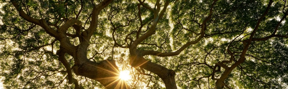 3032eea0a658-GettyImages-874980264-1200x800.jpg.webp 3032eea0a658-GettyImages-874980264-1200x800.jpg.webp