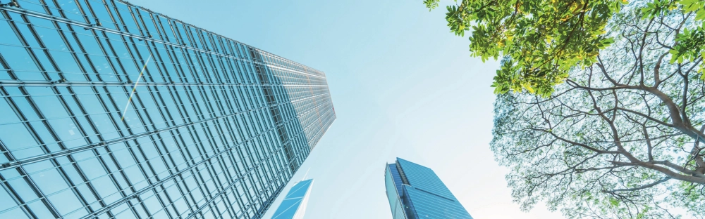 3a917d0a9663-web-banner4.png.webp