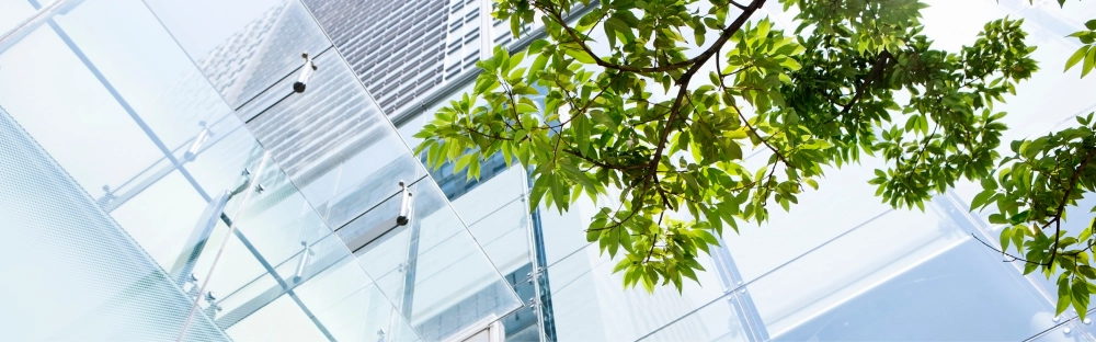 24d2d32f237e-202410_Header_Landingpage_1600-x-500_Standard_v6.jpg.webp 24d2d32f237e-202410_Header_Landingpage_1600-x-500_Standard_v6.jpg.webp