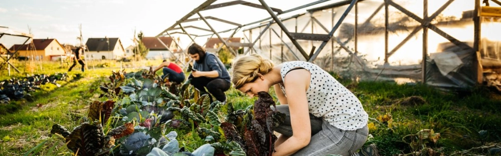 daf1af315ec1-egyszerusitett-foglalkoztatas-szabalyai.jpg.webp daf1af315ec1-egyszerusitett-foglalkoztatas-szabalyai.jpg.webp