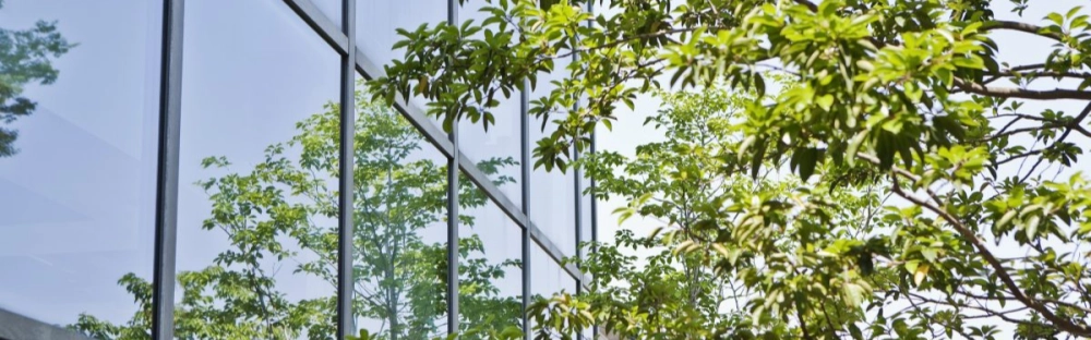 153b955ac163-GettyImages-174713844-1200x800.jpg.webp 153b955ac163-GettyImages-174713844-1200x800.jpg.webp