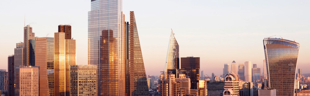 8764be4f9ad1-Skyline1.jpg.webp 8764be4f9ad1-Skyline1.jpg.webp