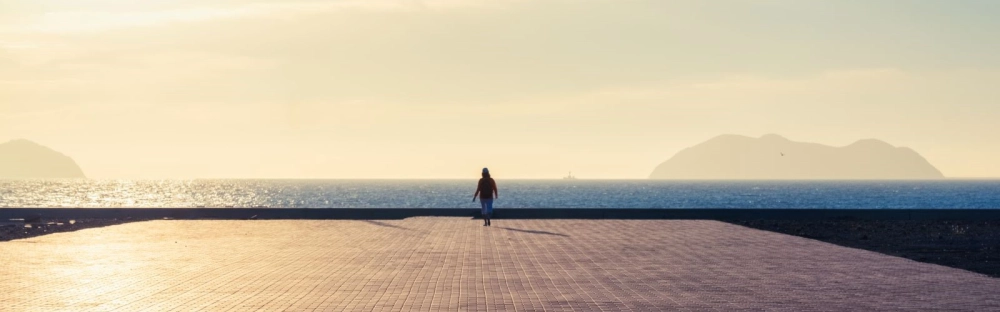 615d0656a3b6-Public-and-social-sector-study-2024-1600x900.jpg.webp 615d0656a3b6-Public-and-social-sector-study-2024-1600x900.jpg.webp