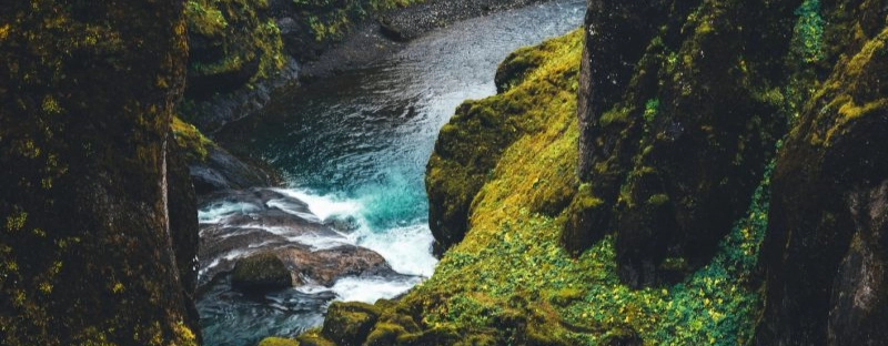 a97c9faf62e4-GettyImages-1205443423-800x1200.jpg.webp a97c9faf62e4-GettyImages-1205443423-800x1200.jpg.webp