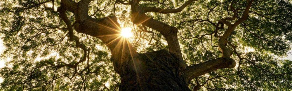 d384e53f5686-GettyImages-874980264-1200x800.jpg.webp d384e53f5686-GettyImages-874980264-1200x800.jpg.webp