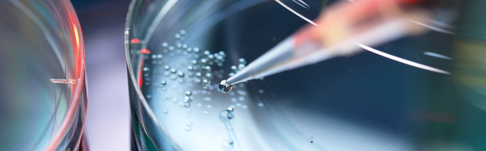 a24cc941478d-LIFE-SCIENCES-GettyImages-1187603810.jpg.webp a24cc941478d-LIFE-SCIENCES-GettyImages-1187603810.jpg.webp