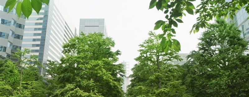 6372a6f771d0-GettyImages-1406376321-1200x800-1.jpg.webp 6372a6f771d0-GettyImages-1406376321-1200x800-1.jpg.webp