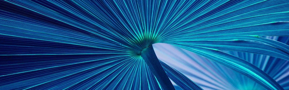 3d6788cd1502-Homepage-CH_kl.jpg.webp 3d6788cd1502-Homepage-CH_kl.jpg.webp