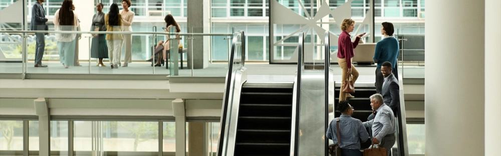 d7954cf02531-Banner5.jpg.webp d7954cf02531-Banner5.jpg.webp