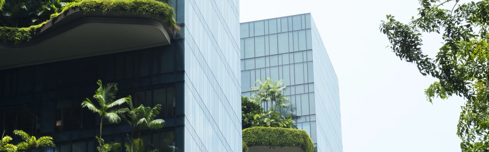 40d5a2ce84ae-GettyImages-1336987946.jpg.webp 40d5a2ce84ae-GettyImages-1336987946.jpg.webp