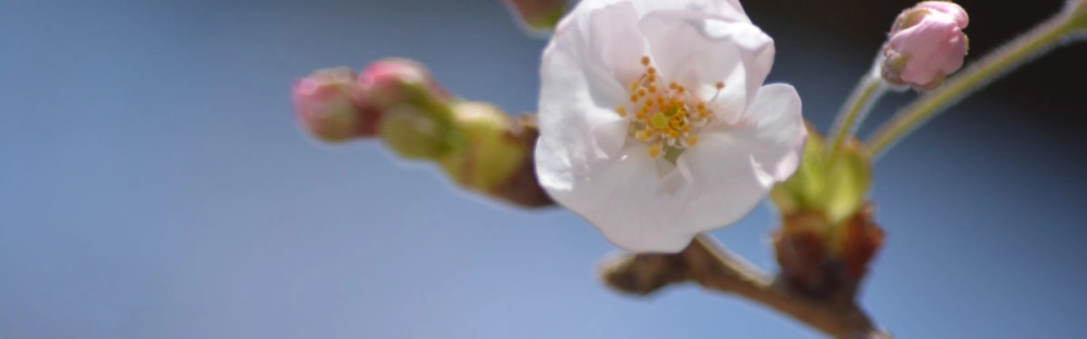 aca7158eb263-GettyImages-1166740321-1-1200x800.jpg.webp aca7158eb263-GettyImages-1166740321-1-1200x800.jpg.webp