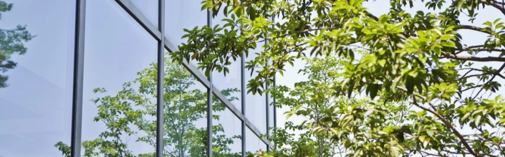 cc52656554fa-GettyImages-174713844-1200x800.jpg.webp cc52656554fa-GettyImages-174713844-1200x800.jpg.webp