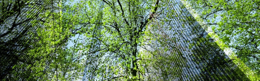 e8e976b08a72-Webinar-Huella-de-carbono-12-marzo-2025-Sostenibildad-GettyImages-1409462682-1200x800.jpg.webp e8e976b08a72-Webinar-Huella-de-carbono-12-marzo-2025-Sostenibildad-GettyImages-1409462682-1200x800.jpg.webp