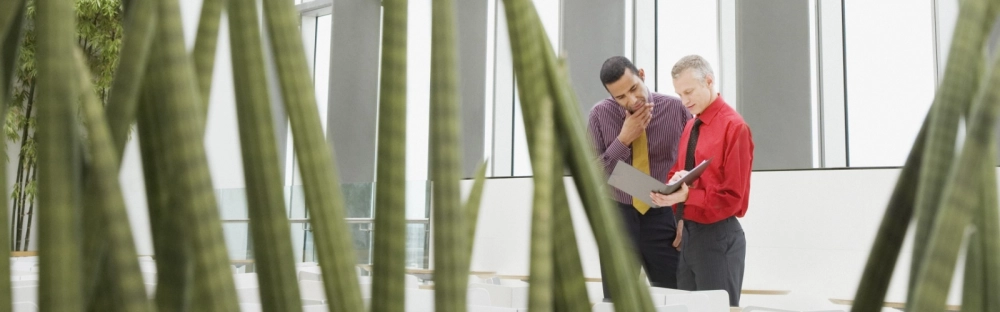 17195c7362bd-verschillen-CSRD-en-CSDDD.jpg.webp 17195c7362bd-verschillen-CSRD-en-CSDDD.jpg.webp