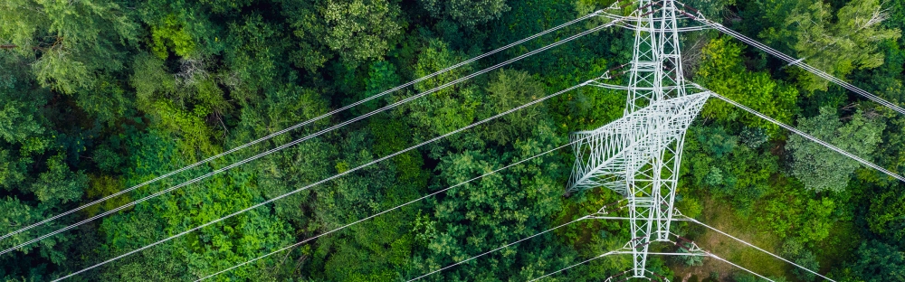 b0f0602c397c-GettyImages-1270403266.jpg.webp b0f0602c397c-GettyImages-1270403266.jpg.webp