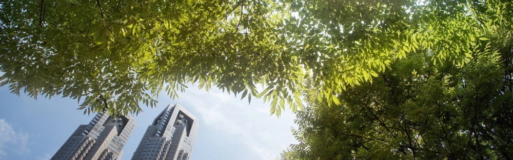 ab2771bc205c-Finance-a-impact.jpg.webp ab2771bc205c-Finance-a-impact.jpg.webp