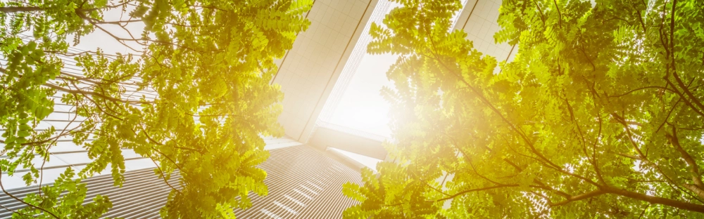 9d0a7f21ebf9-1600x500-Barometre-RSE-2021-Webinar.png.webp 9d0a7f21ebf9-1600x500-Barometre-RSE-2021-Webinar.png.webp