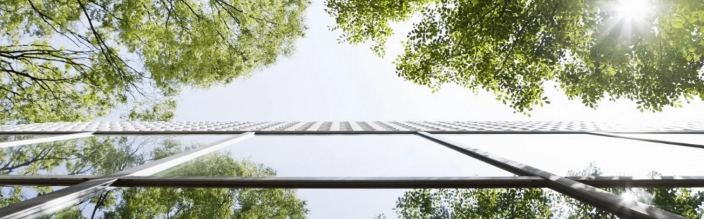 545e386a7cb8-1600x500_webinar-BCE-banque-V2.png.webp 545e386a7cb8-1600x500_webinar-BCE-banque-V2.png.webp