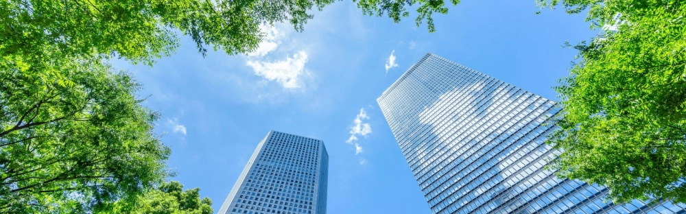 3102744fe3ad-finance-durable_1600x500.png.webp 3102744fe3ad-finance-durable_1600x500.png.webp