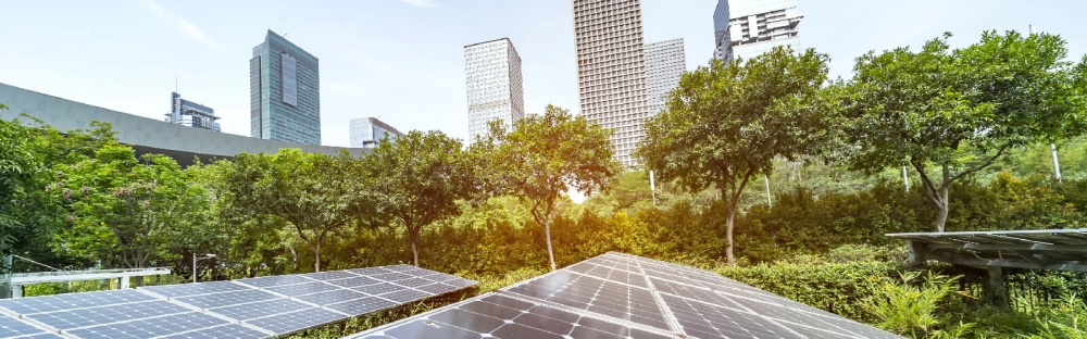 7a5fb3ebeabf-TE-1600x500.jpg.webp 7a5fb3ebeabf-TE-1600x500.jpg.webp