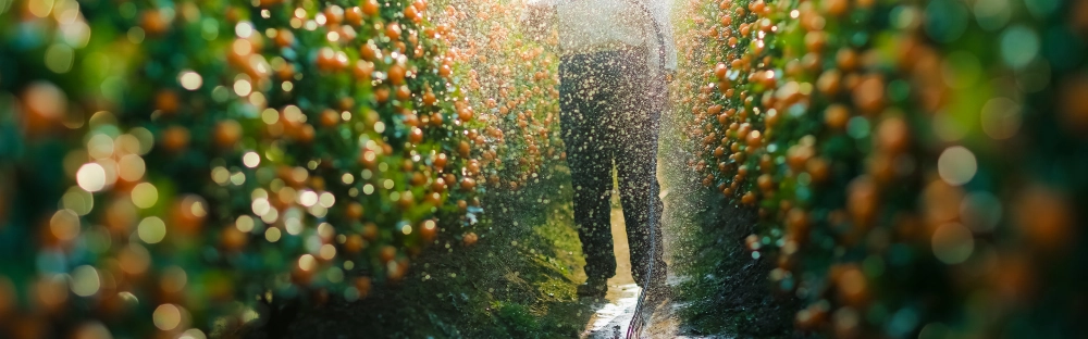 a86017afc829-Nature.jpg.webp a86017afc829-Nature.jpg.webp