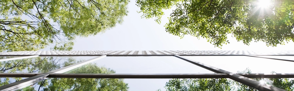 016b73bdbae6-GettyImages-174713850.jpg.jpg.webp 016b73bdbae6-GettyImages-174713850.jpg.jpg.webp