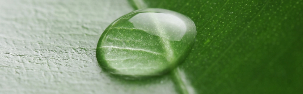 c3bb6d01a115-Audit-RSE-1600x500.jpg.webp c3bb6d01a115-Audit-RSE-1600x500.jpg.webp