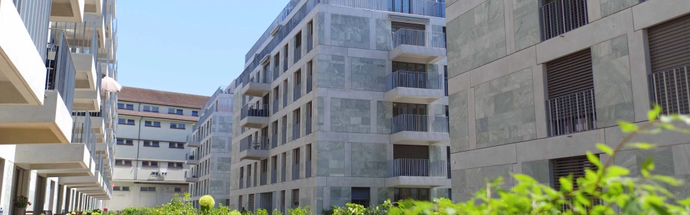 509aecf8bd16-Test-event-realstone.jpg.webp 509aecf8bd16-Test-event-realstone.jpg.webp