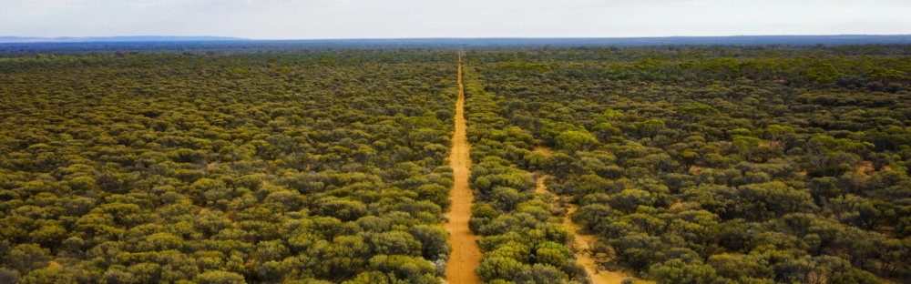 a0257385941e-Sustainability-2-1600-per-500.jpg.jpg.webp a0257385941e-Sustainability-2-1600-per-500.jpg.jpg.webp