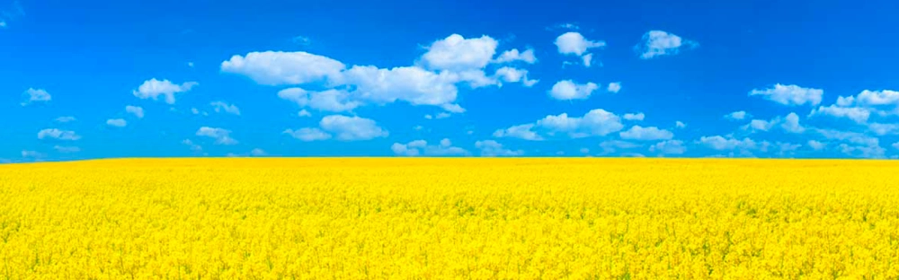 e8f1285d159b-Ukraine-2022.png.webp e8f1285d159b-Ukraine-2022.png.webp