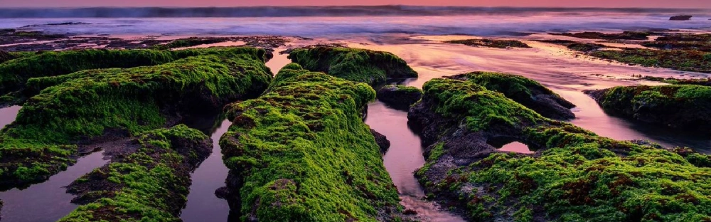 461df85b1678-Mazars-Sustainability-report-2021.jpg.webp 461df85b1678-Mazars-Sustainability-report-2021.jpg.webp