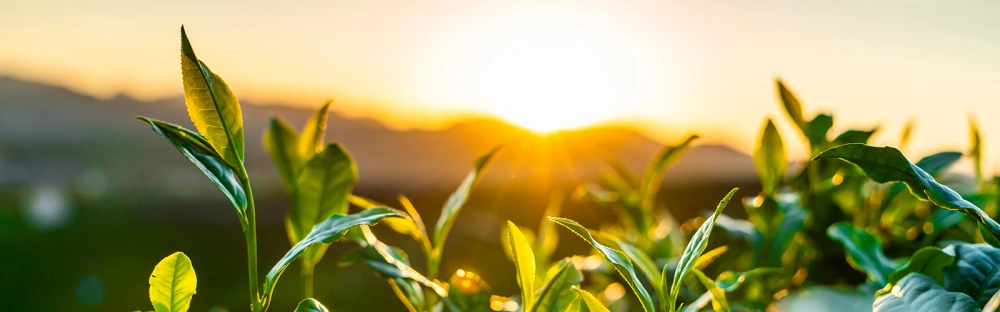 931f25557b01-Mazars-welcomes-Sustainability-Reporting-agreement.jpg.jpg.webp 931f25557b01-Mazars-welcomes-Sustainability-Reporting-agreement.jpg.jpg.webp