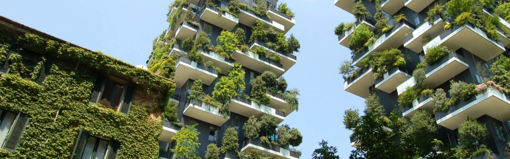 cacda98279b1-Yearbook-1600-per-500.jpg.jpg.webp cacda98279b1-Yearbook-1600-per-500.jpg.jpg.webp