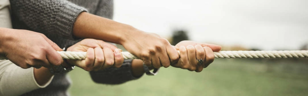 e43c45059fed-Collective-Intelligence-Magazine-3-1086x336.jpg.jpg.webp e43c45059fed-Collective-Intelligence-Magazine-3-1086x336.jpg.jpg.webp