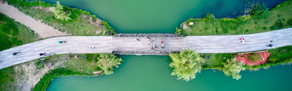 126524e81e5a-ESG-report-main-visual.jpg.webp 126524e81e5a-ESG-report-main-visual.jpg.webp