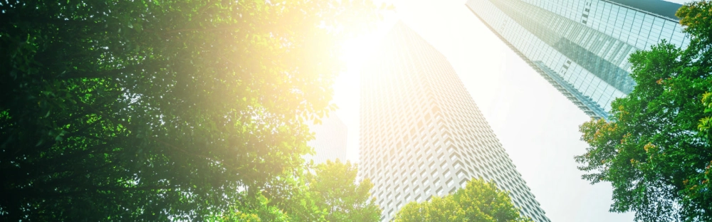 85800b2a0b64-Business-for-good-1600-per-900.jpg.jpg.webp 85800b2a0b64-Business-for-good-1600-per-900.jpg.jpg.webp