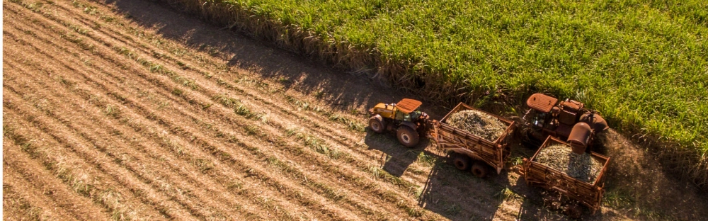 900f05ea3bec-Food-and-Beverage-2-1600-per-500-px.jpg.jpg.webp 900f05ea3bec-Food-and-Beverage-2-1600-per-500-px.jpg.jpg.webp