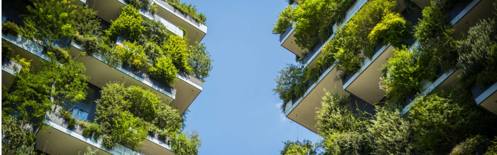 bed0b26ecb83-Business-for-Good-1-1600-per-500px.jpg.jpg.webp bed0b26ecb83-Business-for-Good-1-1600-per-500px.jpg.jpg.webp