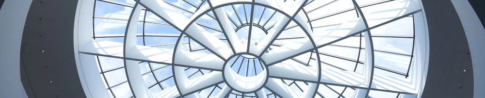 bef31e96646c-Fas.jpg.webp bef31e96646c-Fas.jpg.webp