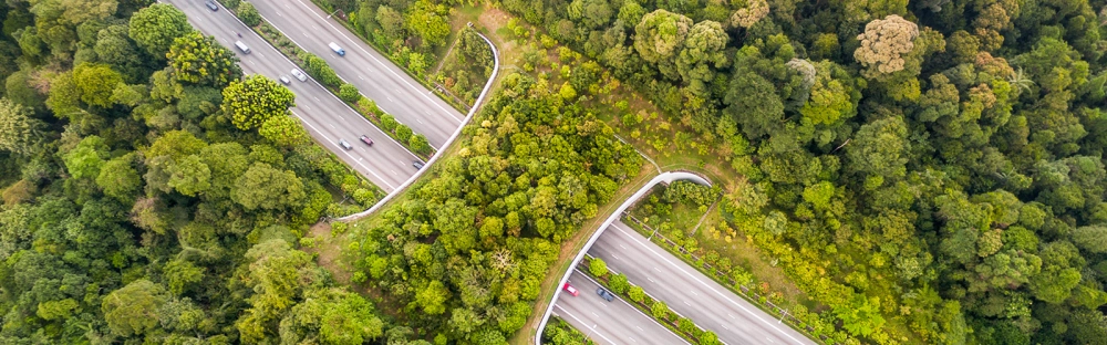 52fca0818a87-APAC-C-suite-barometer-banner-image.png.webp 52fca0818a87-APAC-C-suite-barometer-banner-image.png.webp