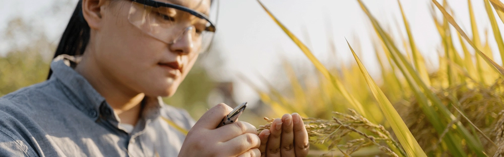 f1f78e954178-Backing-business-in-the-bush-banner.png.webp f1f78e954178-Backing-business-in-the-bush-banner.png.webp